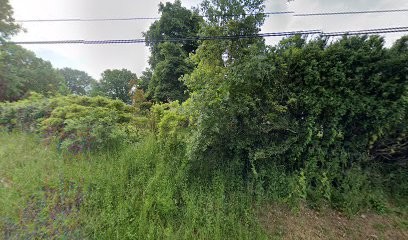 Gîte La petite Mouline, Gîte à Parisot