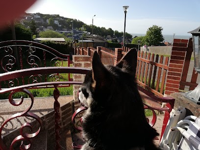 Au Balcon De La Falaise, Gîte au Tréport