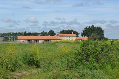 Le Gîte des Ecuries de Boileau, Gîte à Bouin