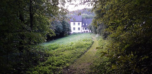 Gite Du Pêcheur Langmattermuehl, Gîte à Schoenbourg