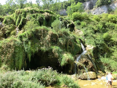 Chalet Des Cascades, Gîte à Bonlieu
