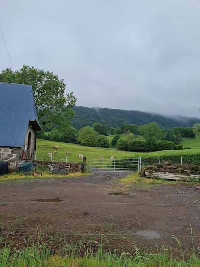 Gîte D'Olmet, Gîte à Vic-sur-Cère