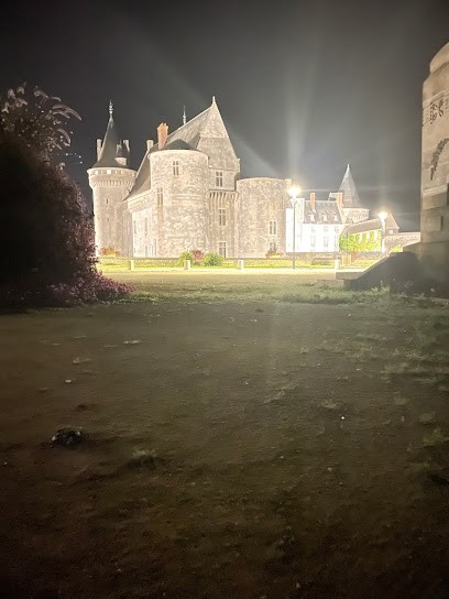 oh! Duc de Sully baroque, Gîte à Sully-sur-Loire