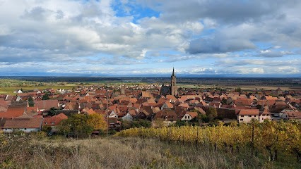Gîte Le Sarment de Vigne, Gîte à Dambach-la-Ville