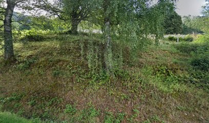 Gite Indigo et Celadon, Gîte à Saint-Amarin