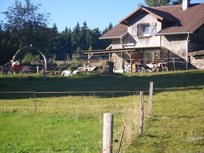 Steinhäusl Shila in den Vogesen, Gîte à La Rosière