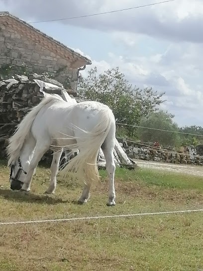 Gîte La Giscardie, Gîte à Salles