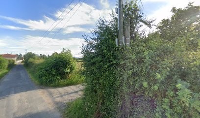 LA PETITE BASSETTE, Gîte à Orliénas