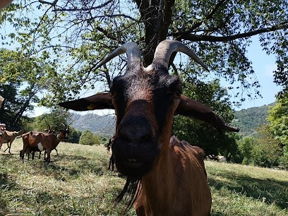 Gite Clos De Bonnaud, Gîte à Montpezat-sous-Bauzon