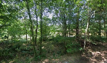 Location Gites et Chalets dans le Médoc, Gîte à Grayan-et-l'Hôpital