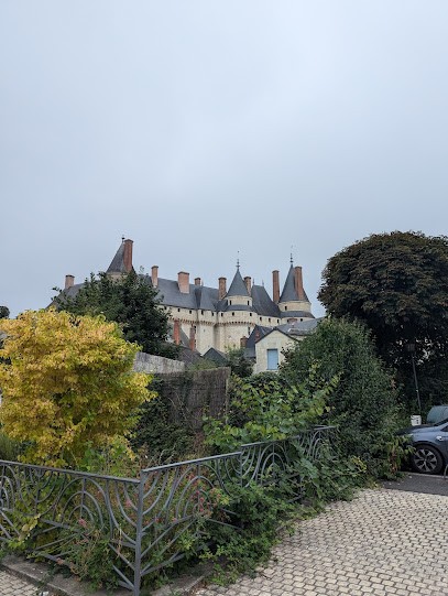 Gîte L'Aulnay Bricard, Gîte à Langeais