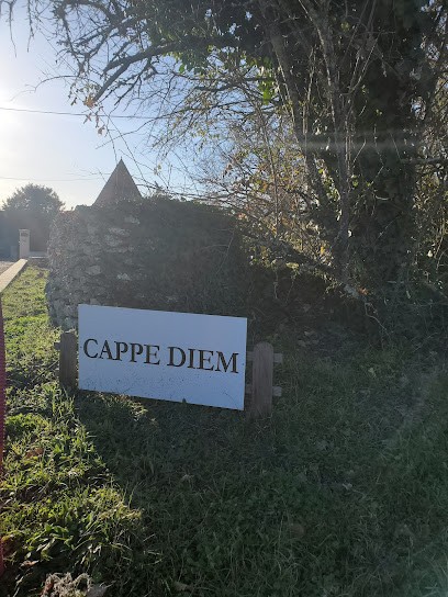 CAPPE DIEM, Gîte à Monestier