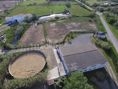 Mas Albert Espelly, Gîte à Saintes-Maries-de-la-Mer