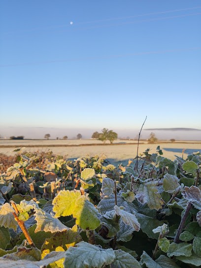 Gîte  Chez ''Le P'tit Claude, Gîte à Vendenesse-sur-Arroux