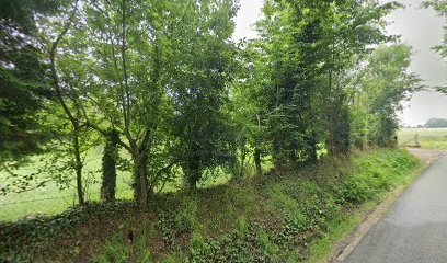 Gite La Boffetière, Gîte à Saint-Aubin-de-Scellon