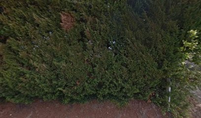 Le Domaine St AVIT, Gîte à Saint-Avit-de-Soulège