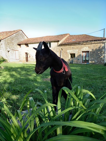 Gîtes Des épinoux. 10 Min De La Vallée Des Singes. 50 Min Du Futuroscope, Gîte à Savigné