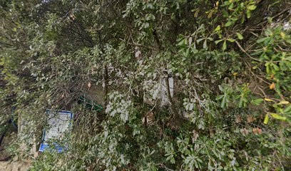 Villa Du Théâtre De Verdure, Gîte à Roquebrune-sur-Argens