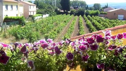 Le Paller - Gîtes De France, Gîte à Estagel