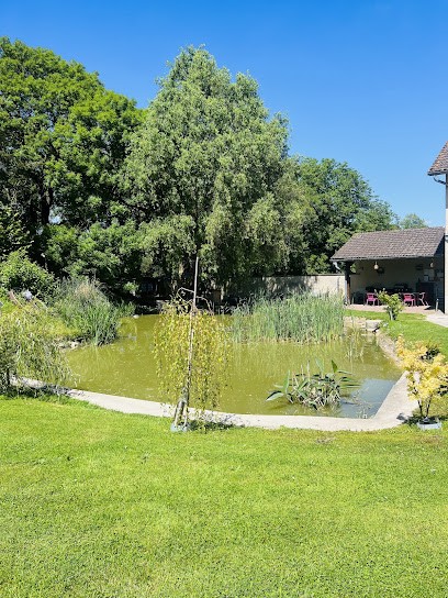 Le domaine du hibou Festigny (gîte et emplacement camping-car festigny ), Gîte à Festigny