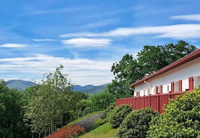 Gite Izarrak, Gîte à Ostabat-Asme