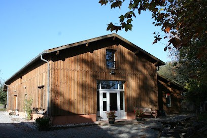 Gite PEYLIN & Elevage De Poney Landais, Gîte à Rivière-Saas-et-Gourby