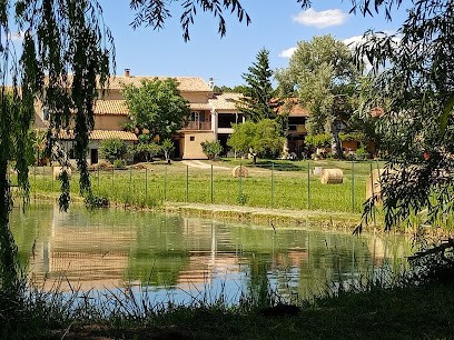 Gîte l'étang de Condi, Gîte à Mornas