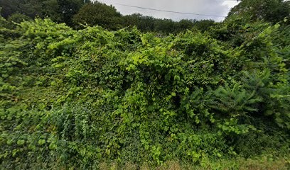 Les rochettes, Gîte à Haybes