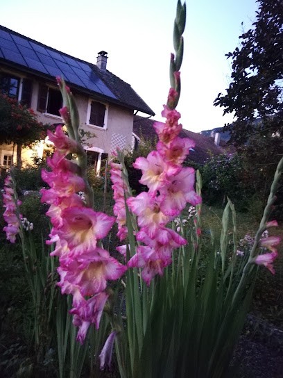 Chaussegros Yves Rhônétape, Gîte à Champagneux