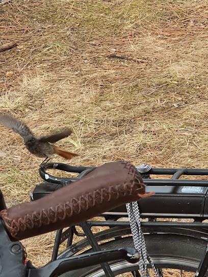 Accueil Le Hameau Du Village, Gîte à Léon