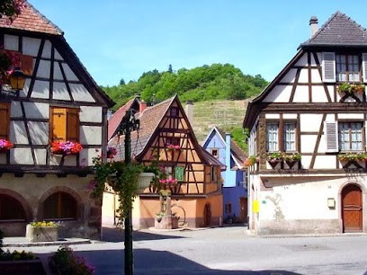 Gite Colmar, Gîte à Niedermorschwihr