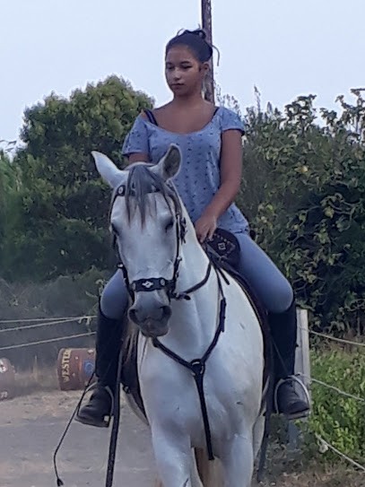 Mas du bras d'or, Gîte à Istres