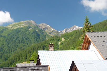 Gîte les Gentianes - Albanne 73870, Gîte à Montricher-Albanne