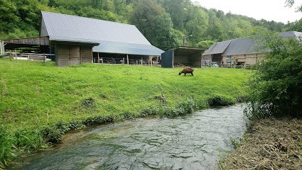 Gîte de la ferme d'Annie, Gîte à Fontenay-Torcy