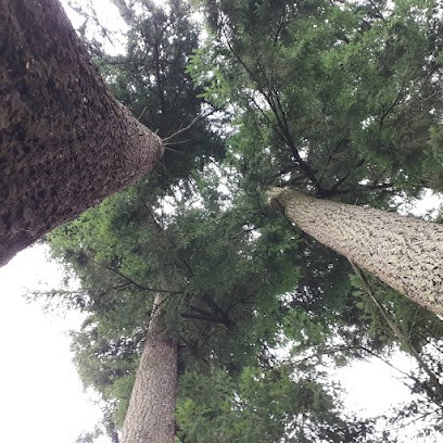 A la Croisée des Chemins, Gîte à Claveisolles