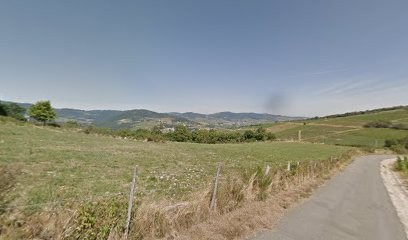 Gîte Olivier Ravier, Gîte à Fleurie