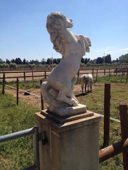 La Jumenterie du village, Gîte à Saint-Martin-de-Crau