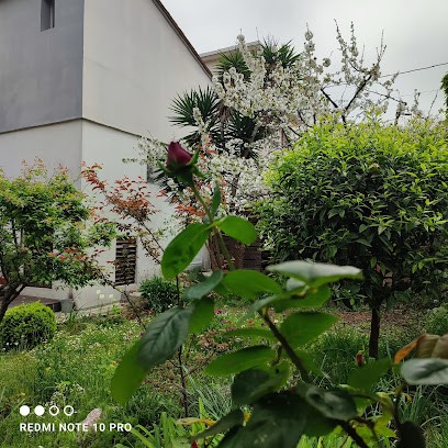 Gîte Montpellier Agapanthe Villa Classé 3 ⭐, Gîte à Montpellier