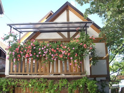 gitelsass67 a kintzheim en centre alsace, Gîte à Kintzheim