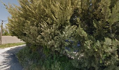 Bord de Sorgue, Gîte au Thor