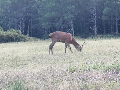 Domaine De Bruelles, Gîte à La Roche-Chalais