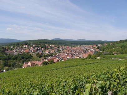 Gîte La Rose Des Vents: Gite De Charmes 10 Personnes Avec Option Massages Entre Strasbourg Et Colmar, Vosges En Alsace, Gîte à Rosenwiller