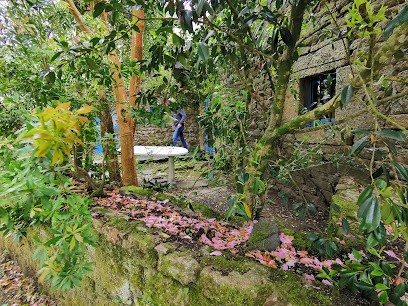 Gîte Camelia - Botmeur - Monts d'arrée, Gîte à Botmeur