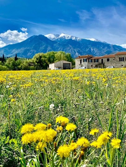 Mas Raynaud, Gîte à Prades