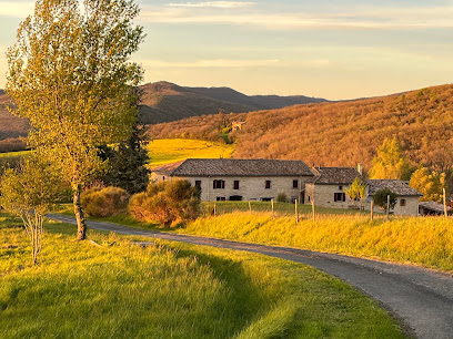 Domaine Du Colombier | Gîte De Groupe | Chambre D'hôte Gîte à Larroque