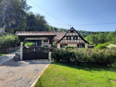 Domaine De La Mossig, Gîte à Wangenbourg-Engenthal