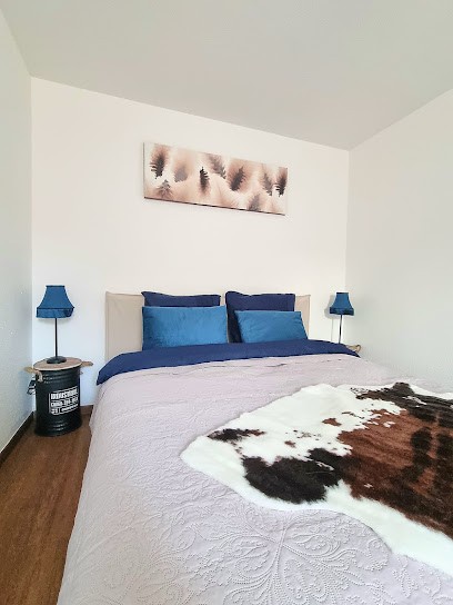 LE BLUE - Business Et Tourisme, Gîte à Guebwiller