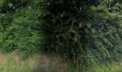 L'Estable, Gîte à Ouainville