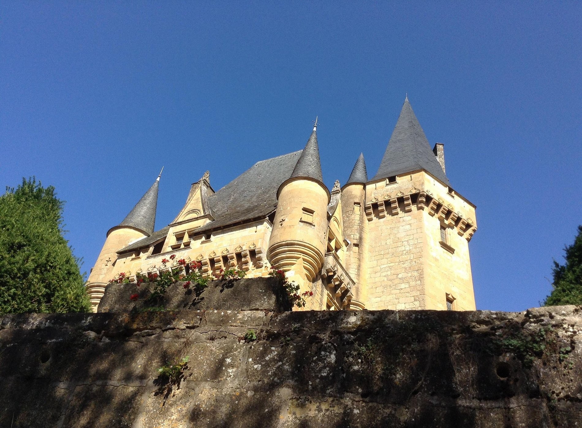 Les Rosiers Lascaux Gites, Gîte à Valojoulx