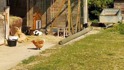 Aux gîtes et roulotte de Tronçois, Gîte à Bierry-les-Belles-Fontaines